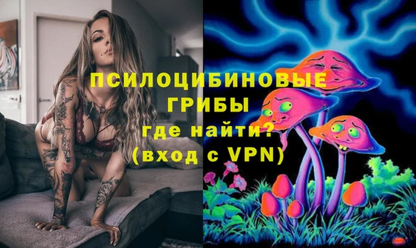 наркотики Белокуриха