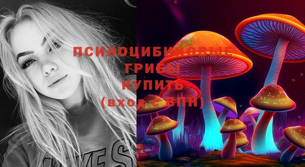 ПСИЛОЦИБИНОВЫЕ ГРИБЫ Белоозёрский