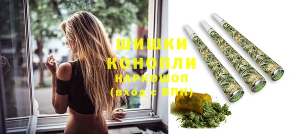 ПСИЛОЦИБИНОВЫЕ ГРИБЫ Белоозёрский