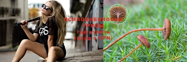 ПСИЛОЦИБИНОВЫЕ ГРИБЫ Белоозёрский